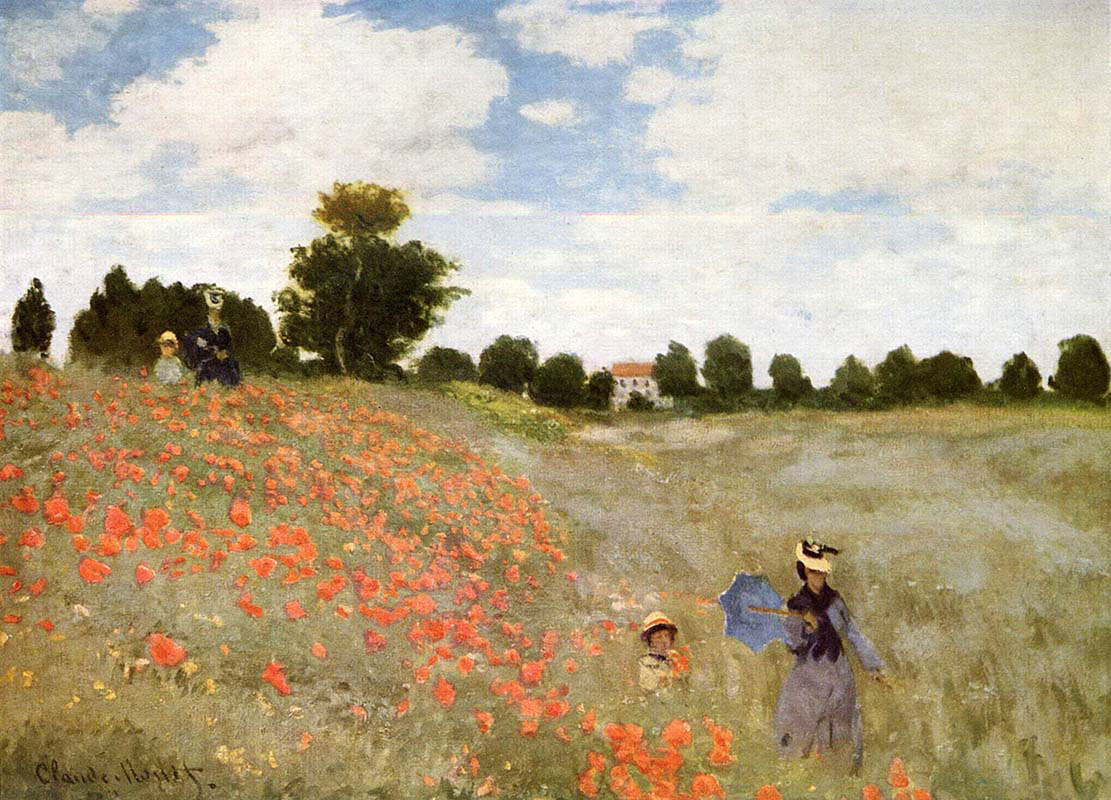 Poppy Flowers 